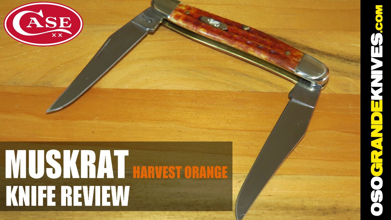 Case Muskrat Pocket Worn Harvest Orange Jig Bone Knife Review | OsoGrandeKnives