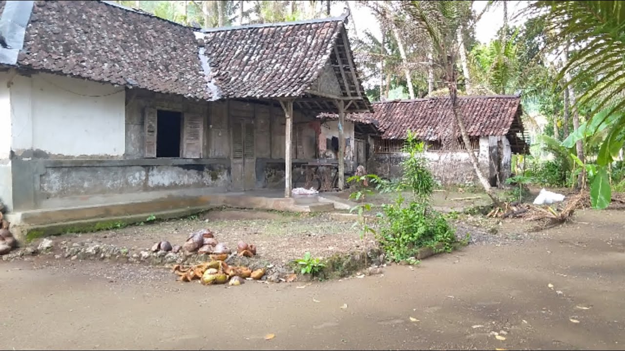Suasana di pedesaan yang tenang || desa umbulrejo ponjong gunungkidul