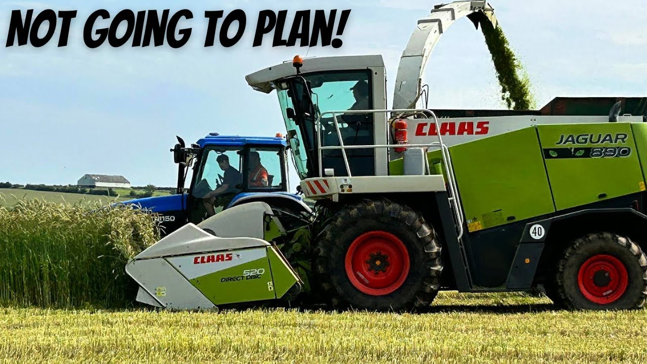 NOT GOING TO PLAN! Spring Reseeds, Maize Crops, Managing Stressed Grazing, Maize Trials...
