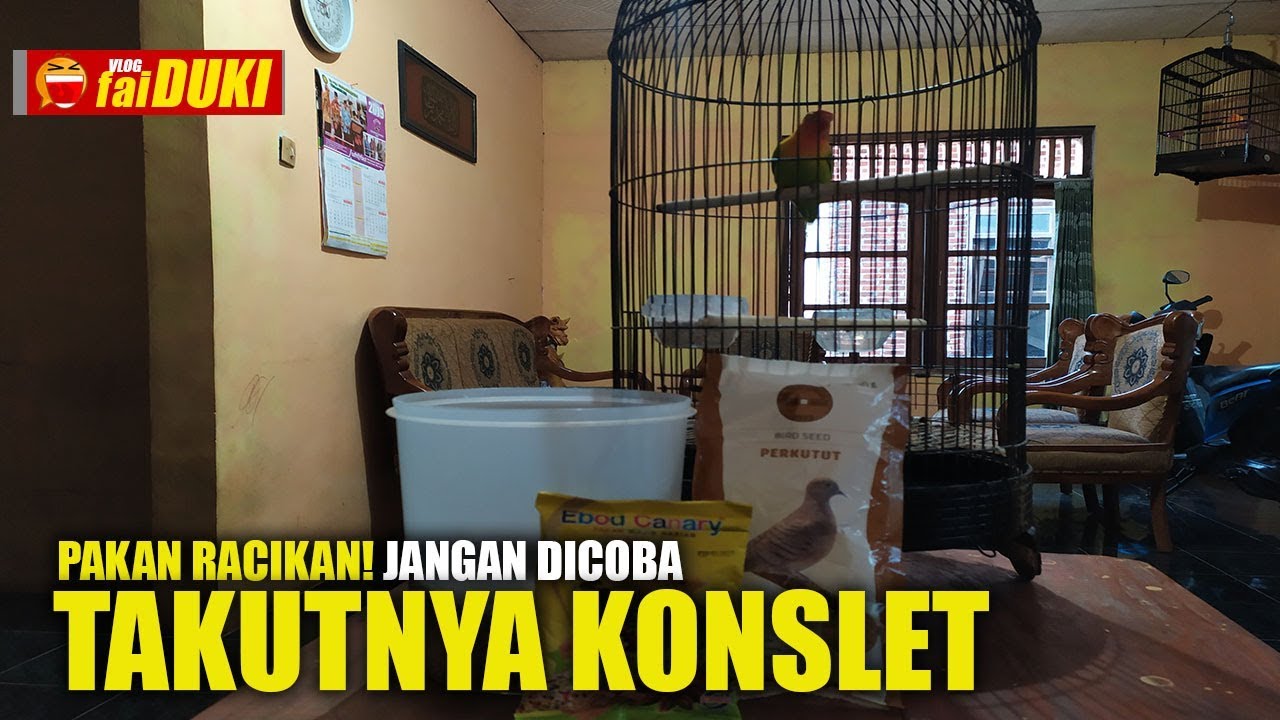 Belajar Konslet : Pakan Racikan !! JANGAN DICOBA Takutnya KONSLET
