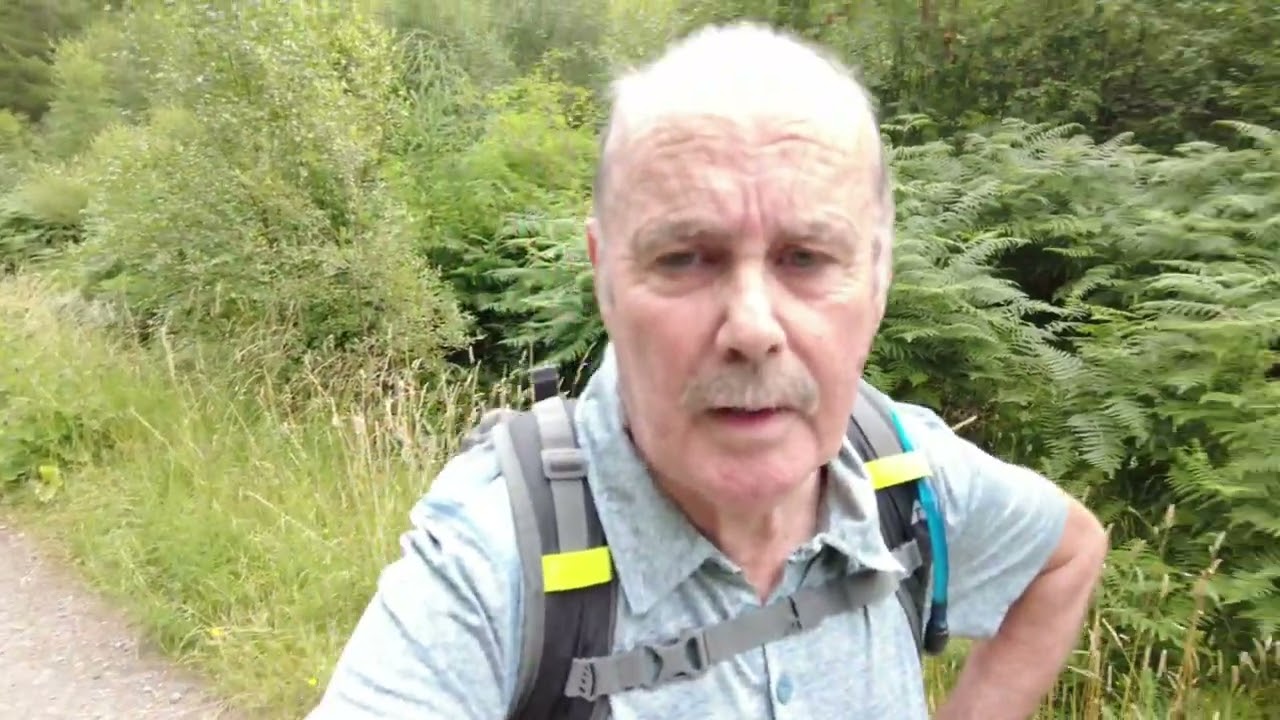 Hamsterley Forest walk