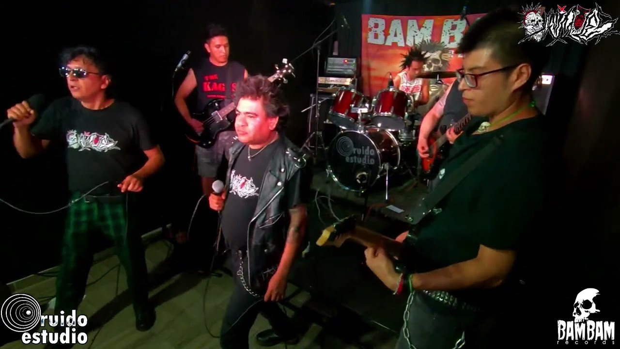 ANIMALES PUNK (Transmisión # 209) EN VIVO DESDE RUIDO ESTUDIO!!!