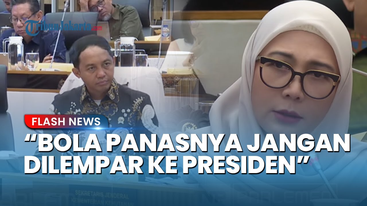 DPR Semprot Raja Juli Minta Tak Lepas Tangan soal Bencana: Bola Panasnya Jangan Dilempar ke Presiden