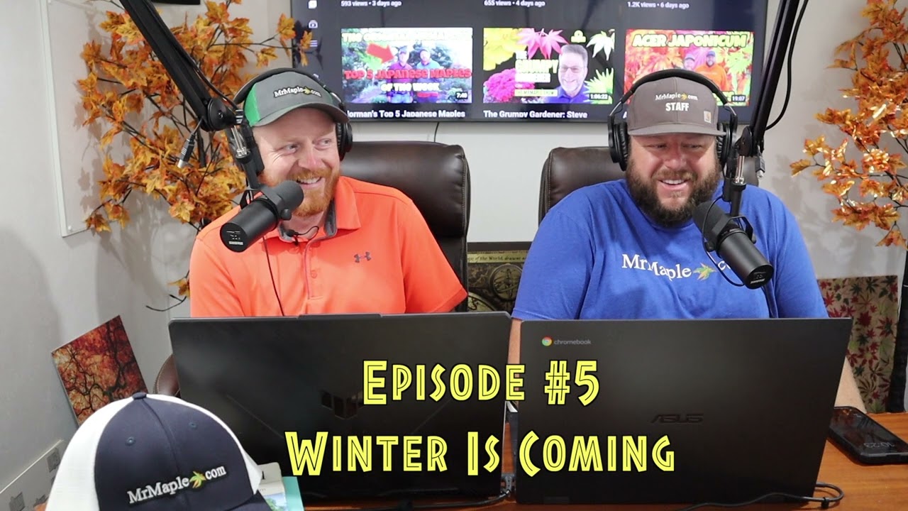 Winter Is Coming | What To Do With Japanese Maples During Winter | MrMaple Show Podcast | Episode #5