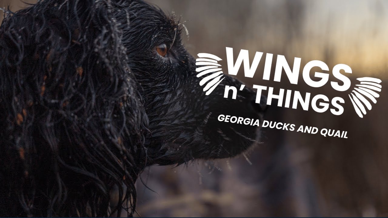 Georgia | Ducks and Quail