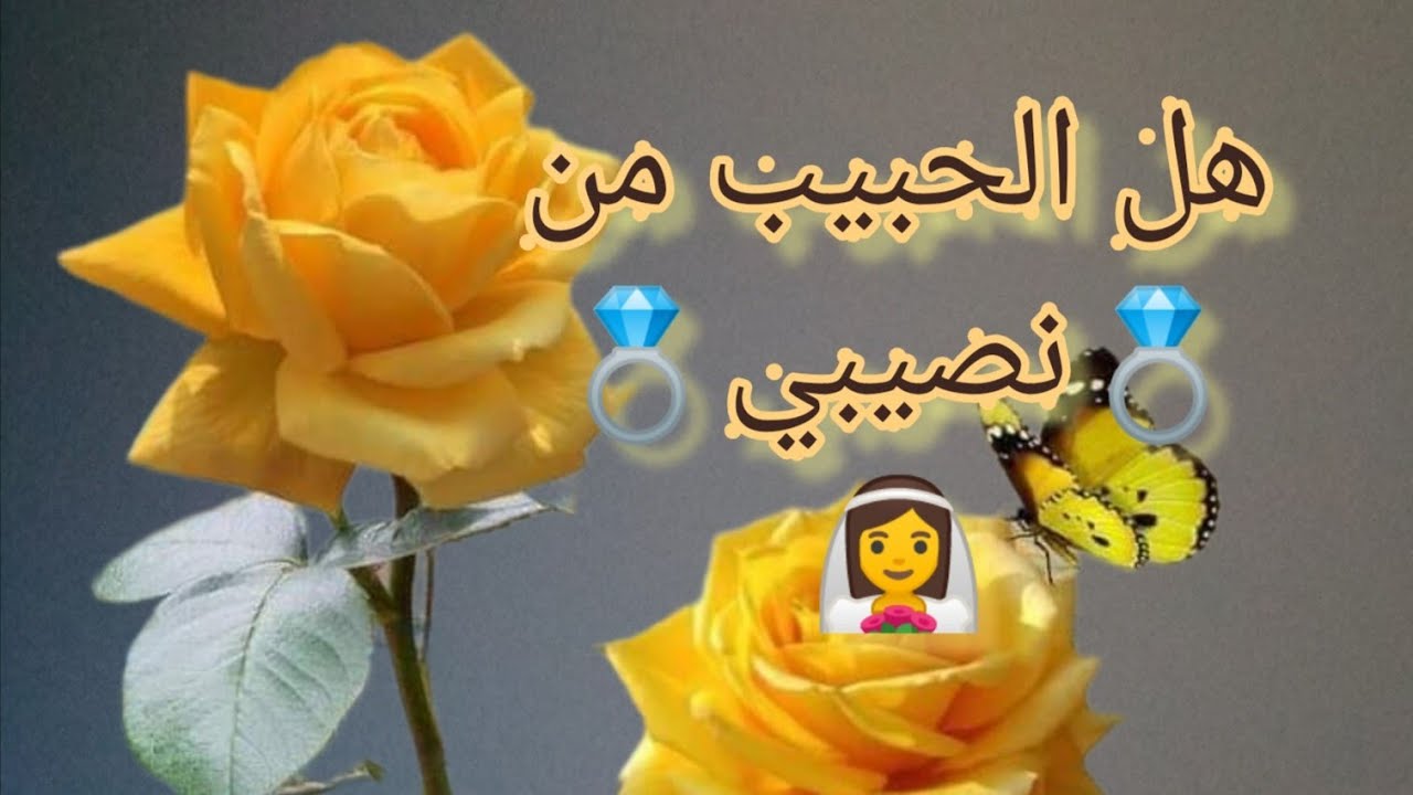 المجموعة الأولى هل الحبيب من نصيبي👰💍 وهل في حل للمشاكل🗣️ وماسبب تأخر الزواج💍