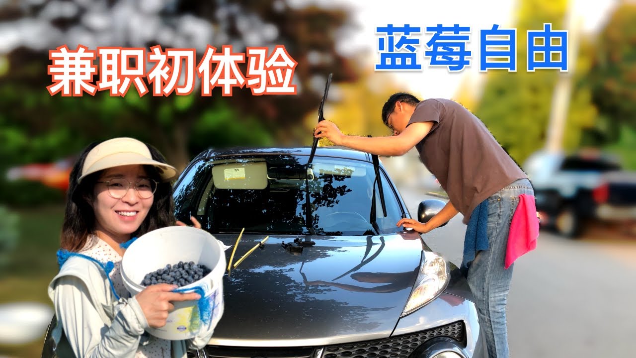 找到兼职啦，兼职初体验，在温哥华实现蓝莓自由，笨手菜鸟DIY换雨刷Randall&Echo Vlog 1