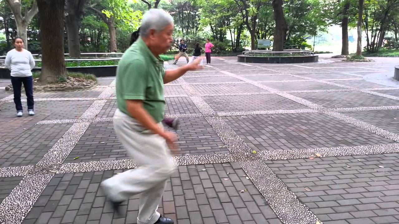wu style faster fourm Master Liu JiFa