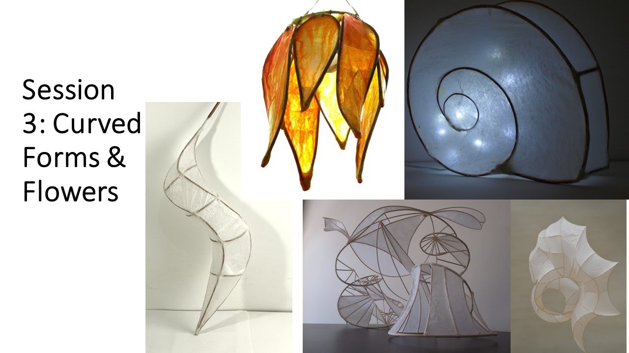 Willow and tissue session 3   curved forms