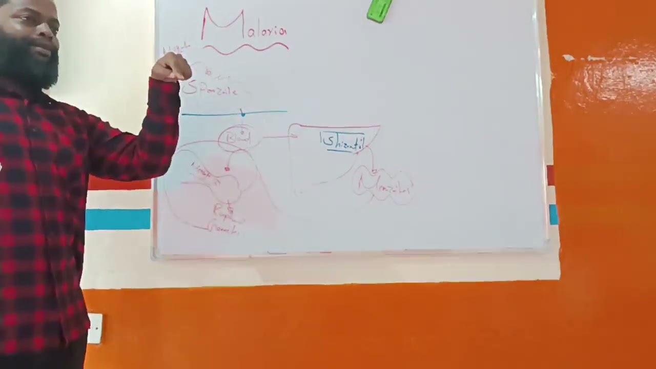 Malaria Dr.Ahmed Adlan