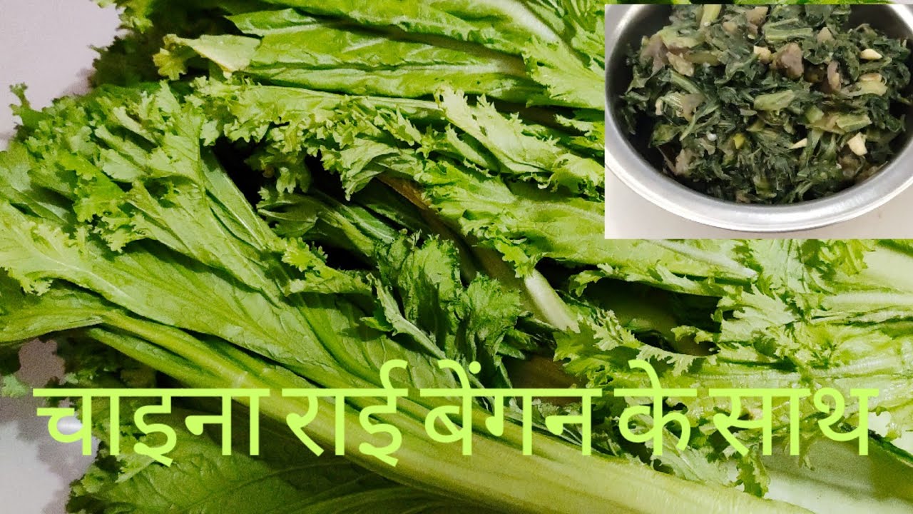 #mustardgreen #chainalai #चाइना लाई  राई का साग बेंगन के साथ/China  mustard green - eggplant recipe