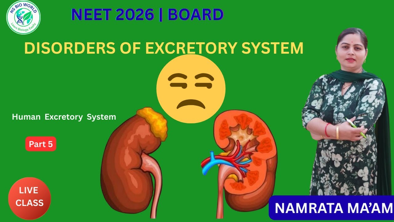 Excretory System Part 5 | Disorders of Excretory System | Class 11 Biology by Namrata Ma`am