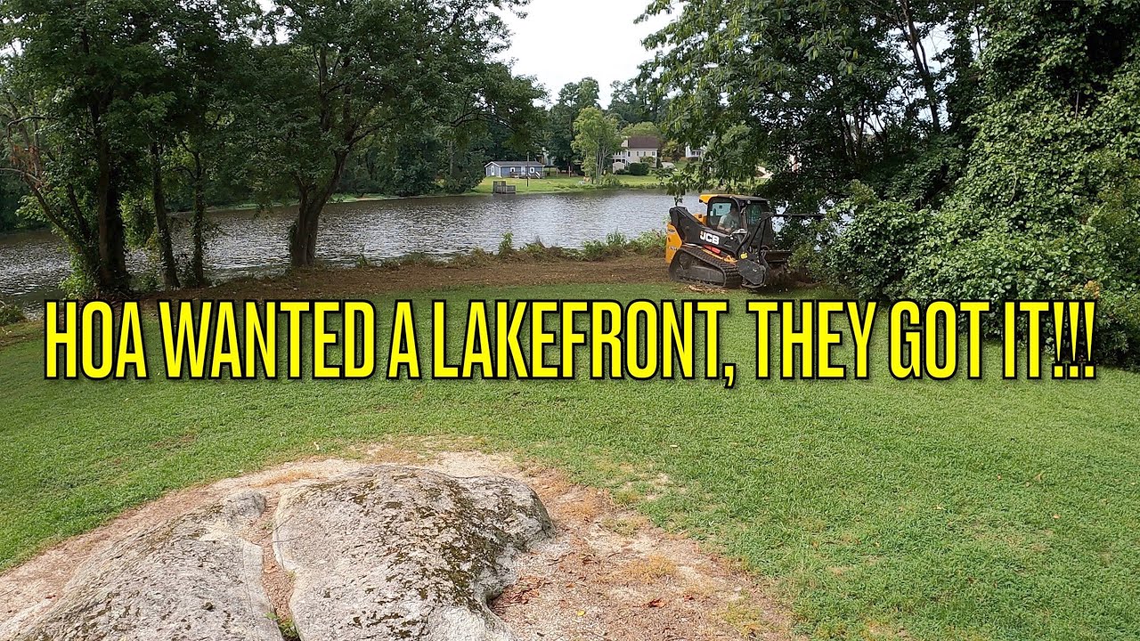HOA HASN'T SEEN IT THIS CLEAN IN YEARS! BRUSH CUT & FORESTRY MULCH AN OVERGROWN NEGLECTED LAKEFRONT.