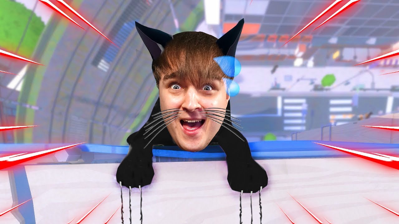 AŠ PASIKLYDĘS KATINAS 2!