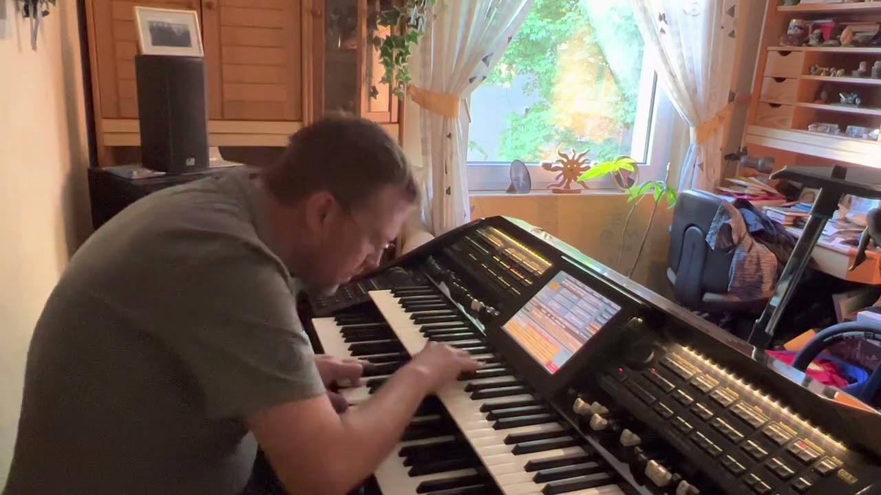 Perfect - Ed Sheeran (Hardy on Wersi Scala)