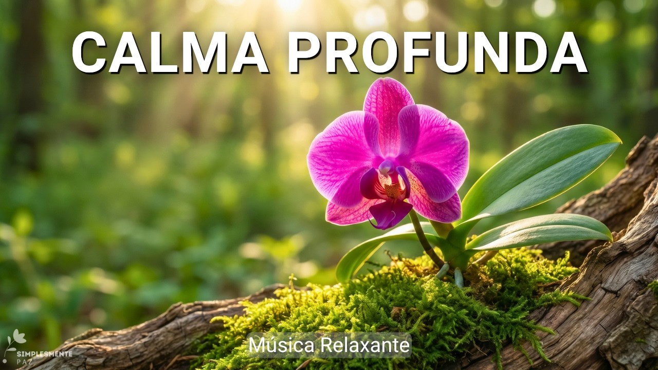 M&uacute;sica para Limpar a Mente e Encontrar Calma Profunda | Instrumental Suave | Al&iacute;vio Emocional