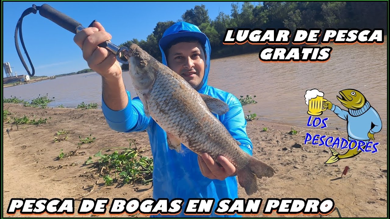 Terrible pesca de bogas en San Pedro #lospescadores