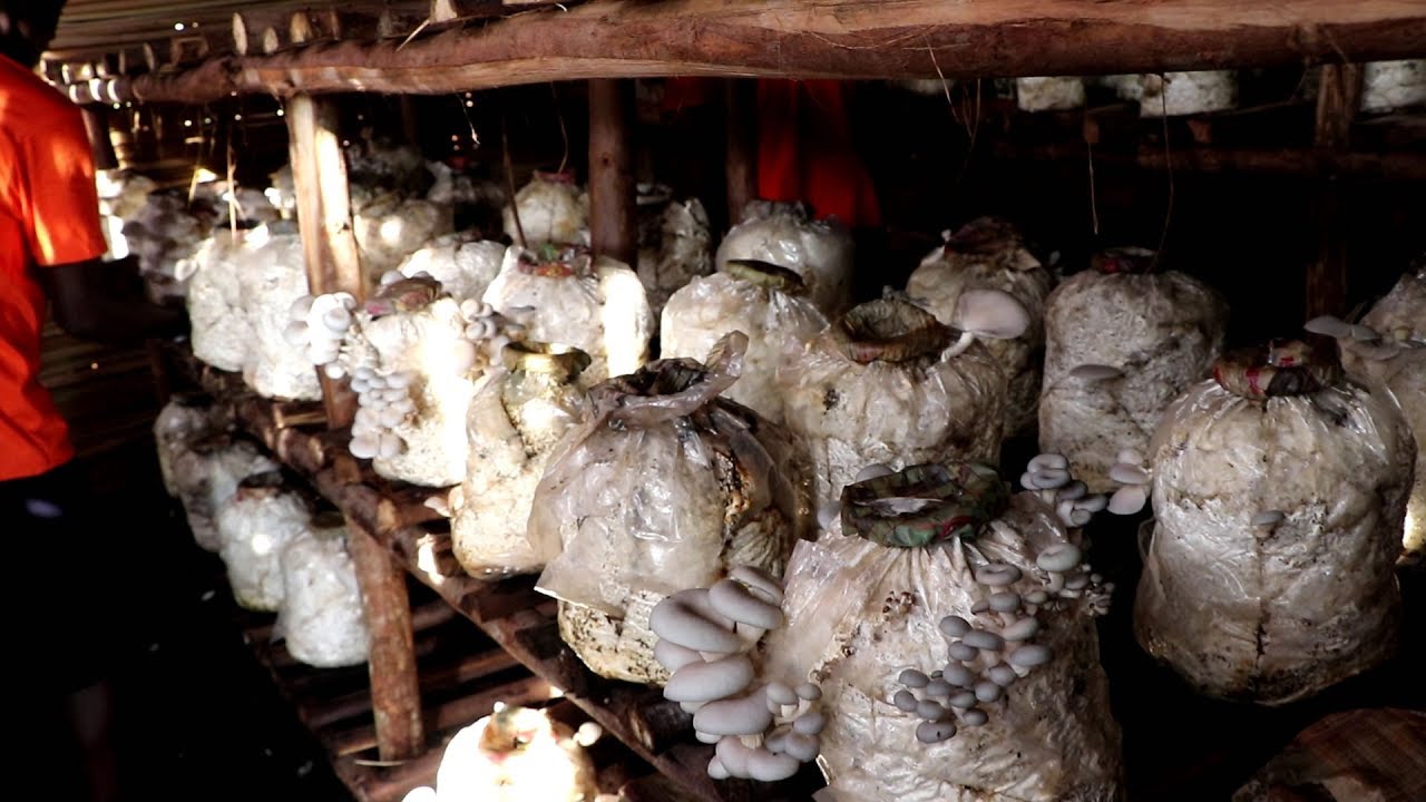 NAGURU REMAND HOME KAMPALA, REFORMING JUVENILE OFFENDERS