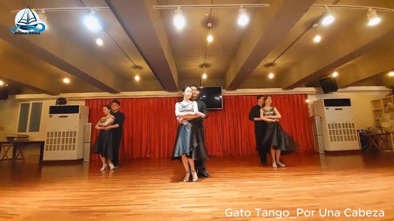 [Busan Blues Party 20231209] Performance_team 가또땅고(Gato Tango)  #tangoescenario #tangoperformance