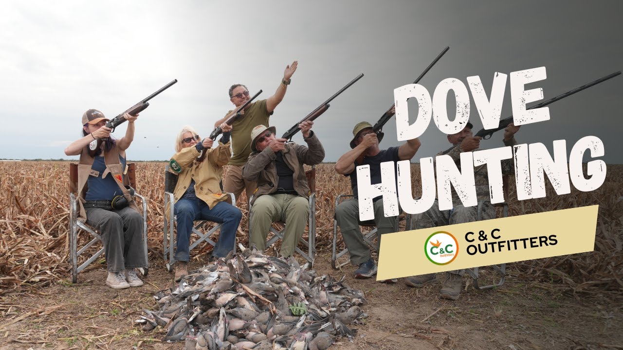 Massive Dove Hunts Await - Join C&C Outfitters in Argentina!