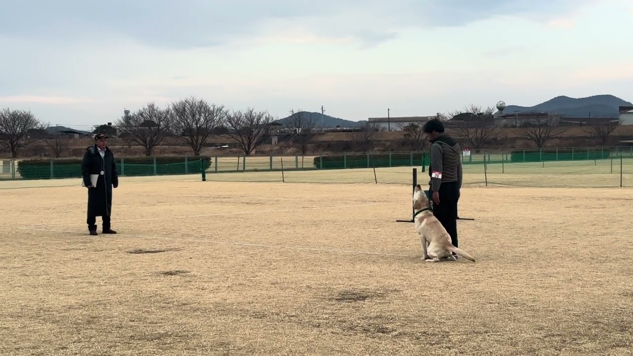 ＪＫＣ高知クラブ訓練競技会