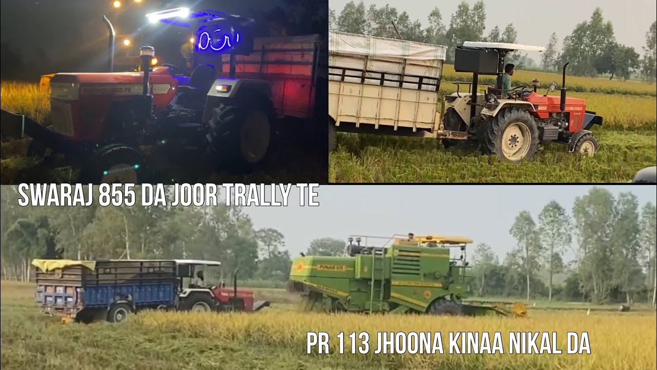 Swaraj 855 da joor trally te | PR 113 jhoona (rice🌾) #subscribe #channel @anmolaulakhvlogs
