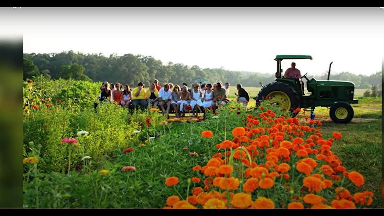 Tangipahoa Parish Tourism
