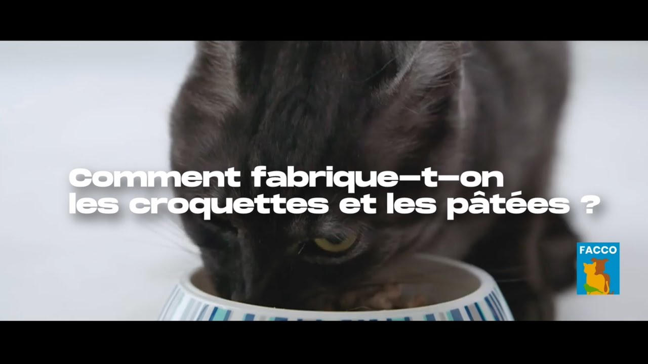 FACCO, comment fabrique-t-on les croquettes et les pâtées ?