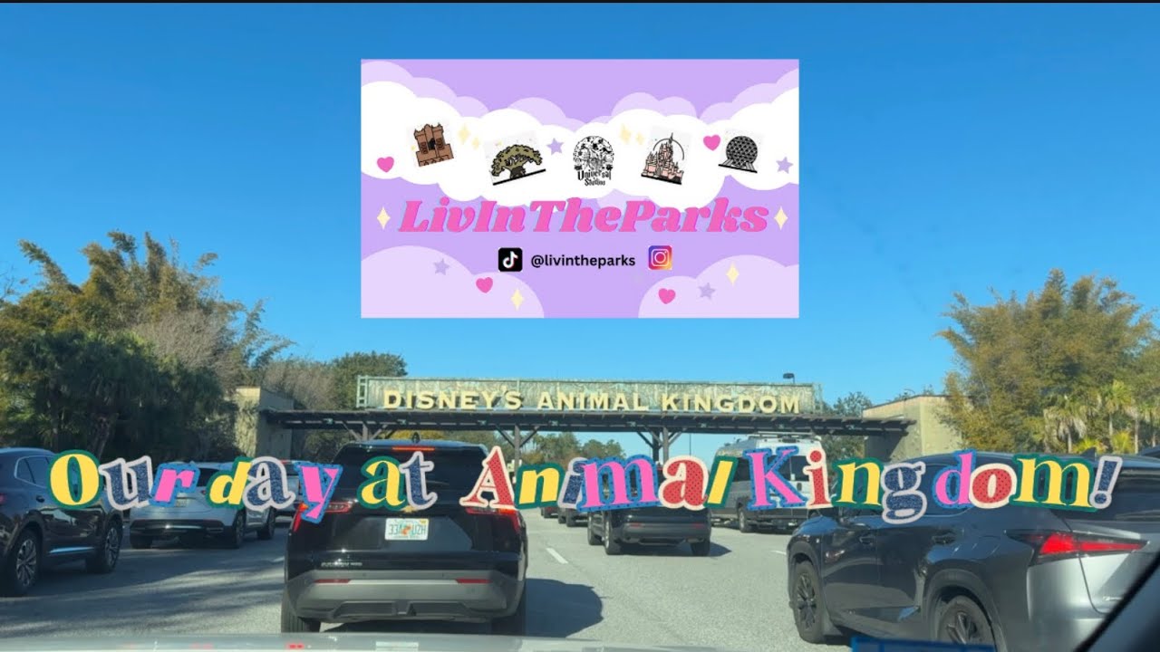 Our day at Animal Kingdom! Passholder magnet, coffee, and animals!