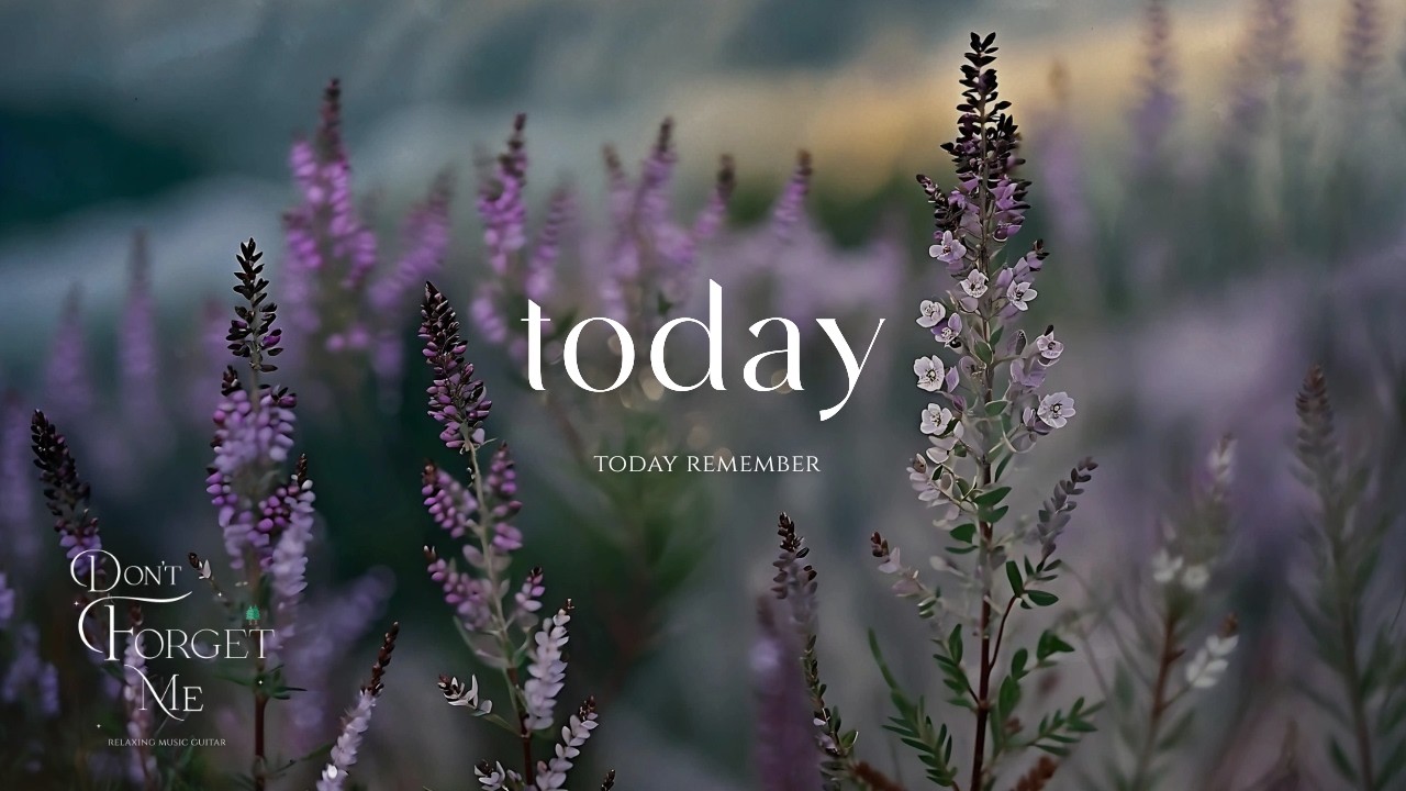 Today Remember 💜🍃  Peaceful Ambient Music for Sleep, Meditation & Relaxation