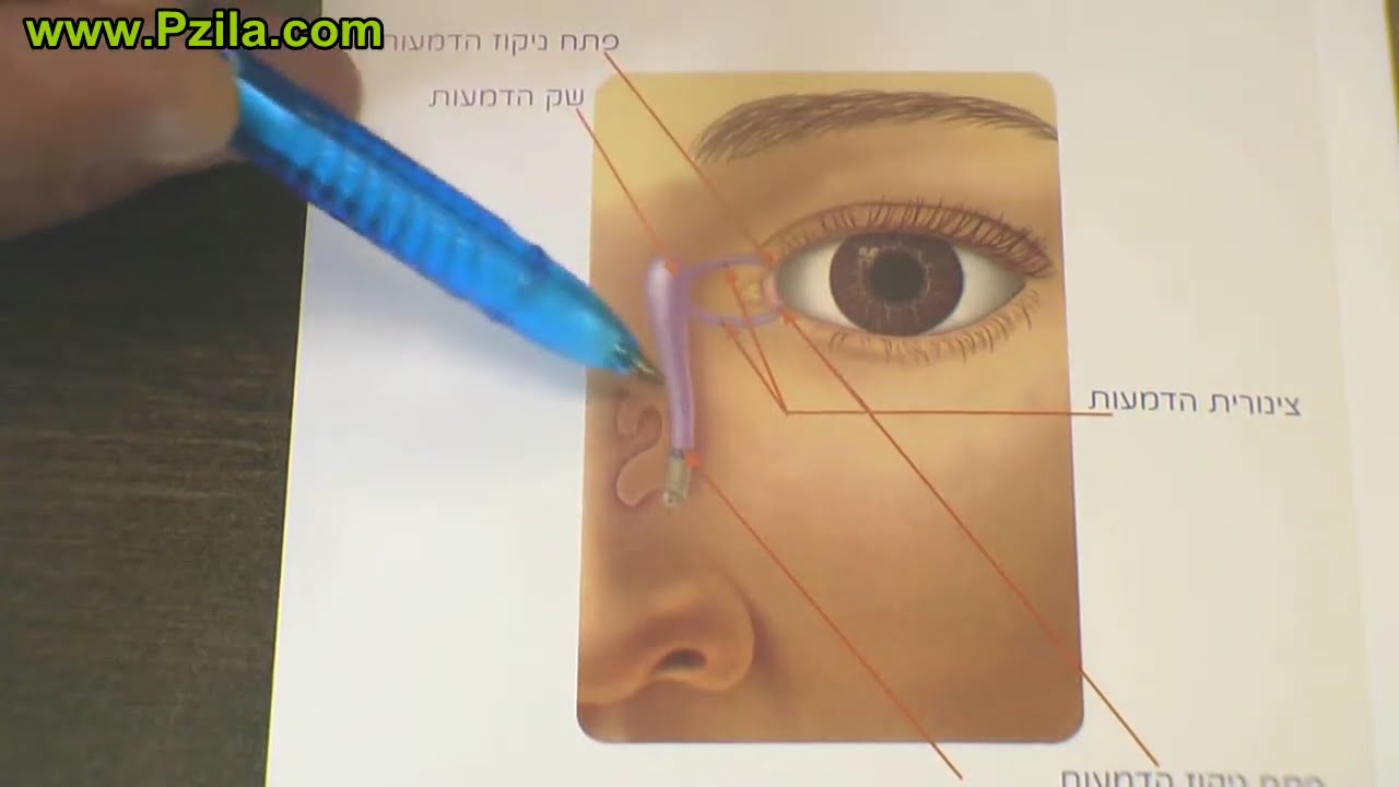 חסימת דרכי דמעות - מה זה? ואיך מטפלים?