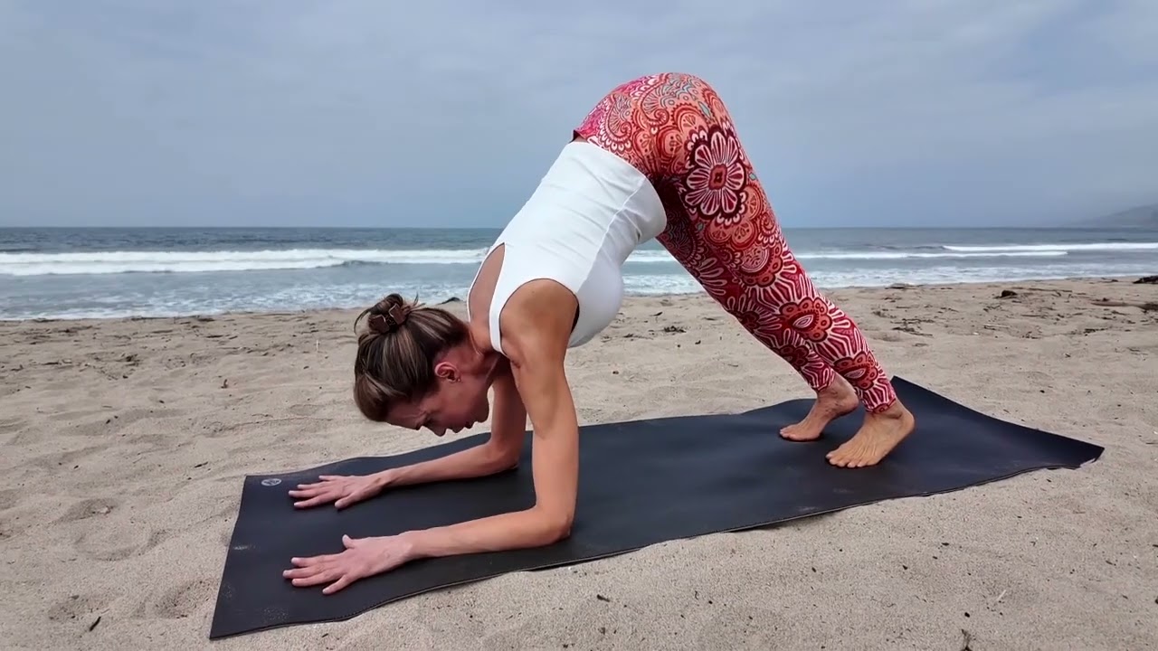 Dolphin Pose | Healthy Joyful Yogi