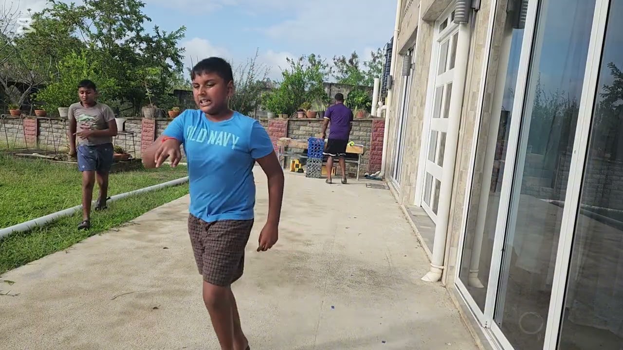 Caribbean Cricket in The Backyard 🏏