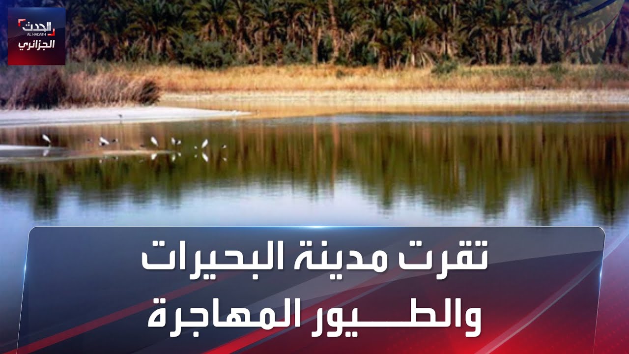 المدينة الجزائرية التي تقصدها الطيور المهاجرة بالالاف، هل تعرفها؟