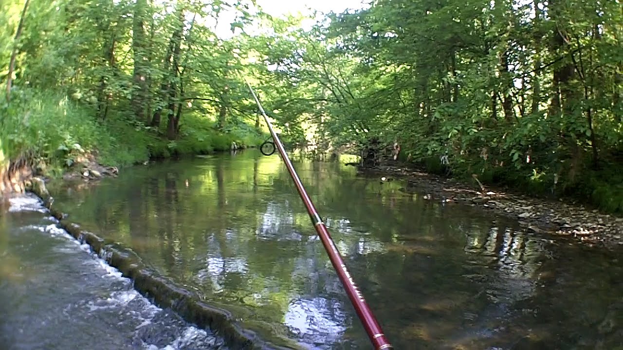 Wędkarstwo - Spinning w małych rzekach