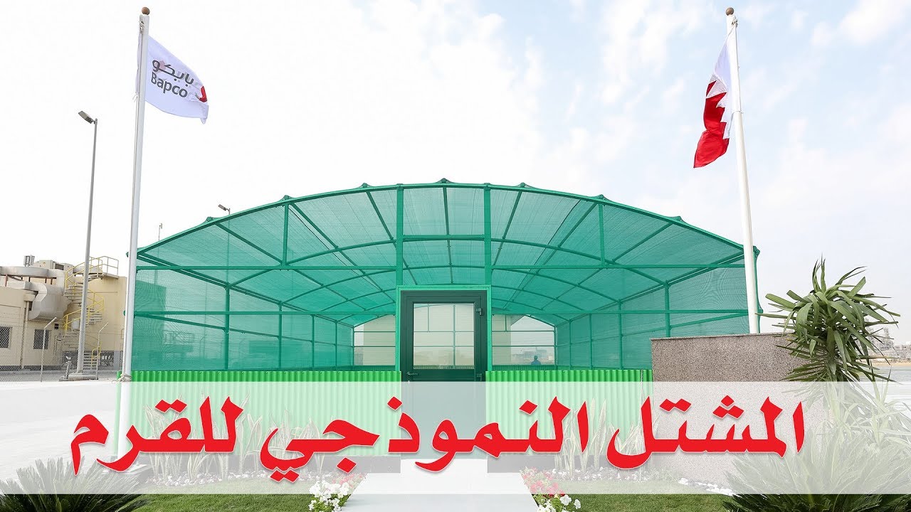 وزير النفط يفتتح المشتل النموذجي للقرم وواحة بابكو