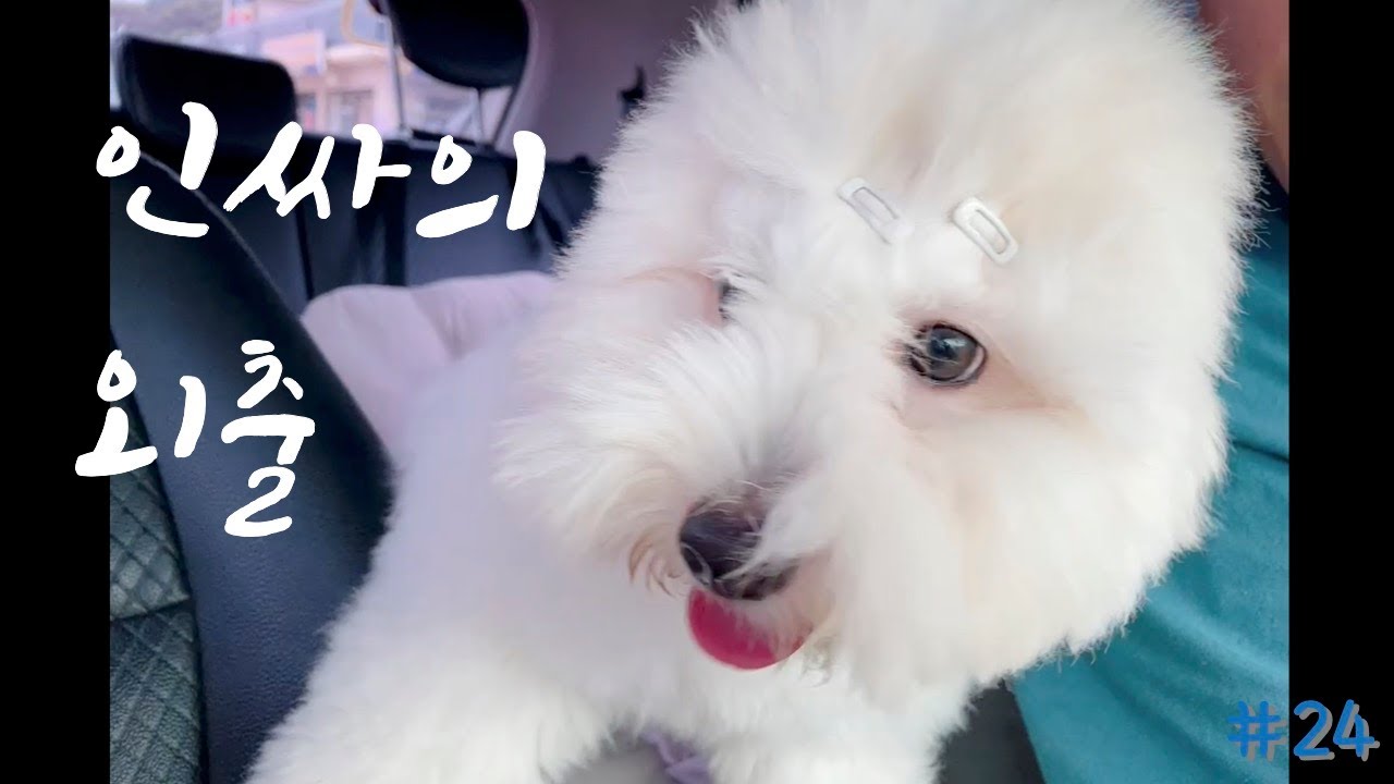 극E의 친구 사귀는법 l 애견카페 part.1
