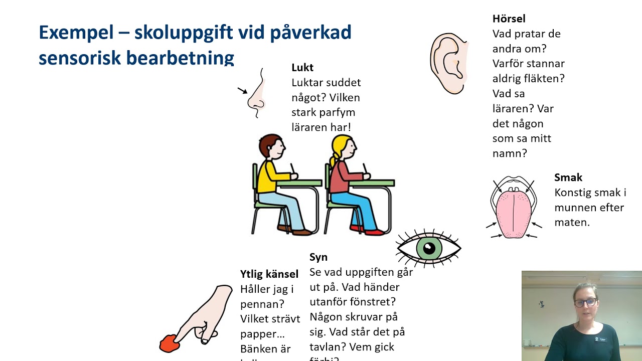 Föreläsning: sensorisk bearbetning