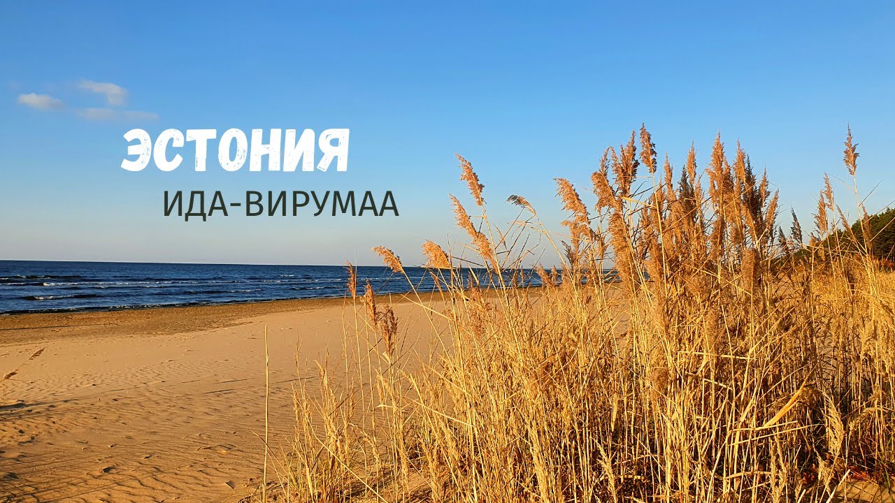 ЭСТОНИЯ. ИДА-ВИРУМАА. ОБРЫВ ОНТИКА. СИЛЛАМЯЭ. БАШНЯ ИЙЗАКУ. ПЛЯЖ КАУКСИ. ПЛЯЖ НАРВА-ЙЫЕСУУ