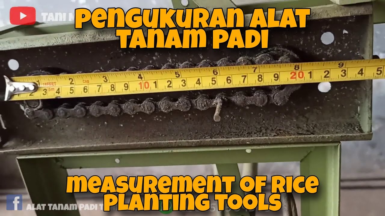 Pengukuran alat tanam padi manual buatan sendiri (measurement of manual rice planting tools)