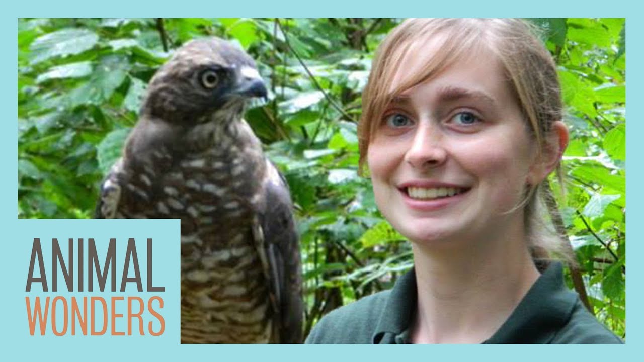My Path To An Animal Dream Job