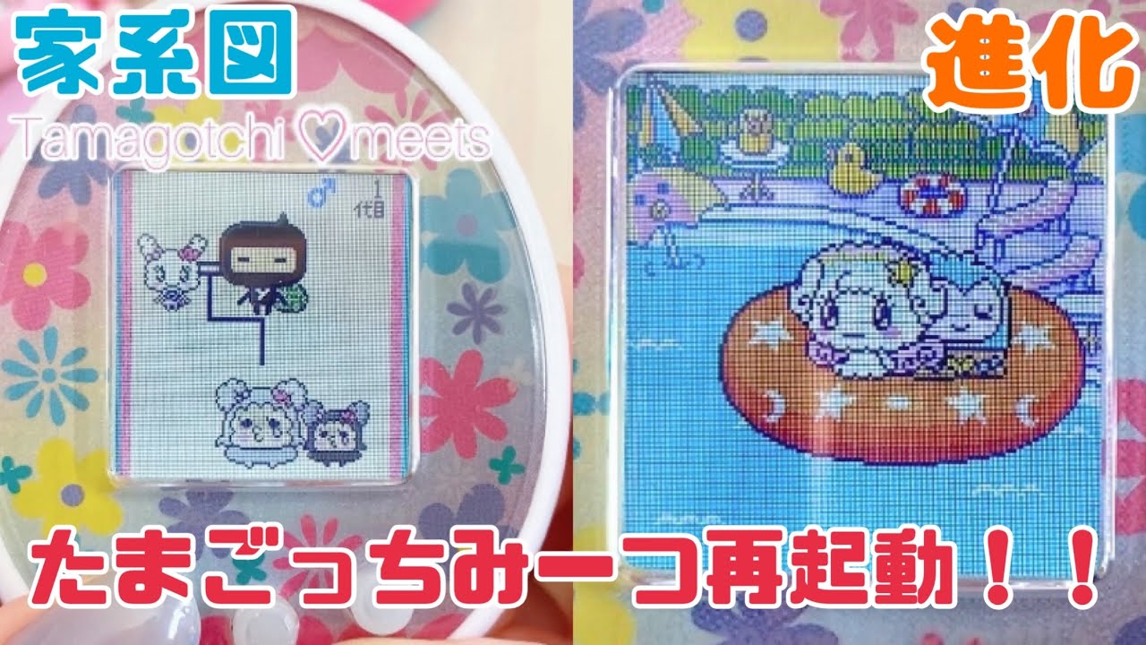 【たまごっちみーつ】2019年のたまごっちで遊んだよ🥚🩷🎀✨