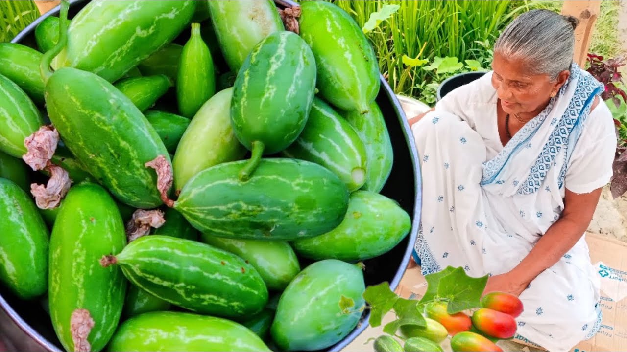 ওষুধ গুনে ভরা তেলাকচুর এমন টেস্টি রান্না হলে ভাতের পাতে আর কিছু লাগবে না | Telakachu foler recipe