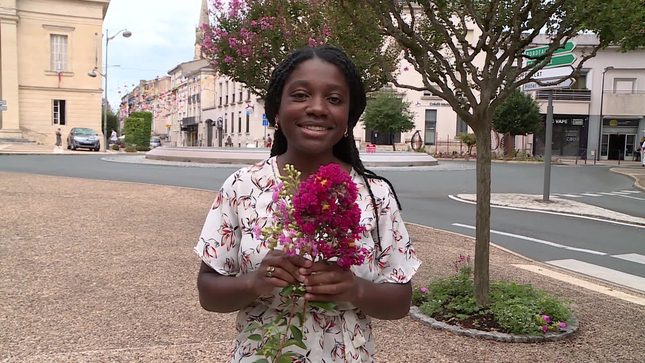 Les pourquoi de France 3 Périgords : pourquoi autant de lilas des Indes dans les rues de Bergerac ?