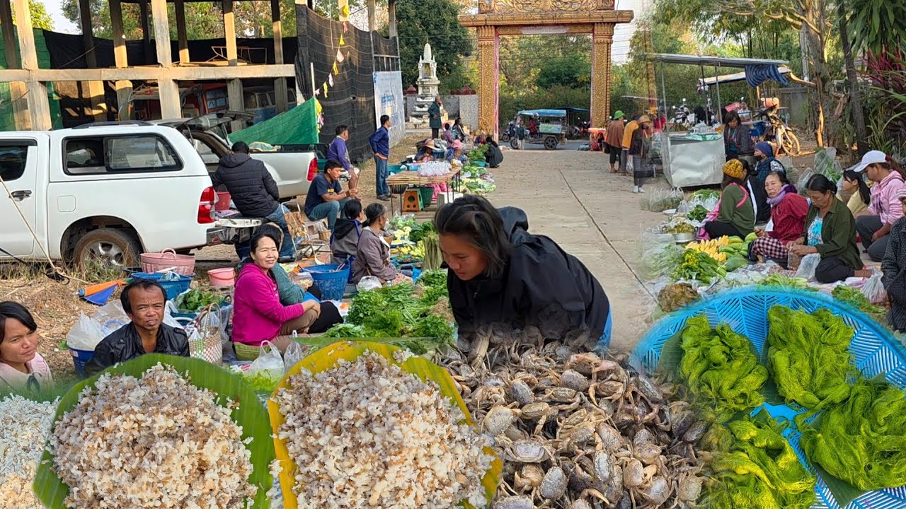 ปูนา ไข่มดแดง เทางามๆ ตลาดนัดเช้าวันจันทร์ อ.เขมราฐ จ.อุบลฯ#ของป่า #thaifood #อาหารตามฤดูกาล 