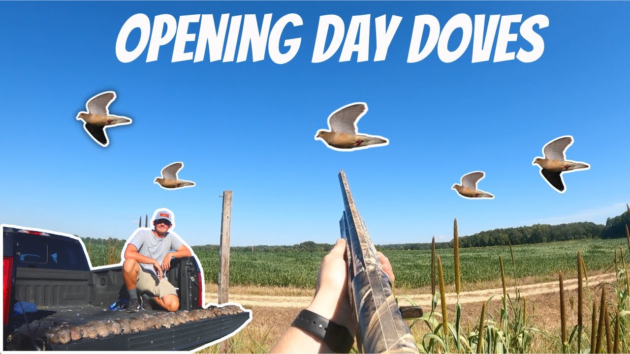 Maryland Opening Day Dove Hunt 2022! (LIMITED OUT)