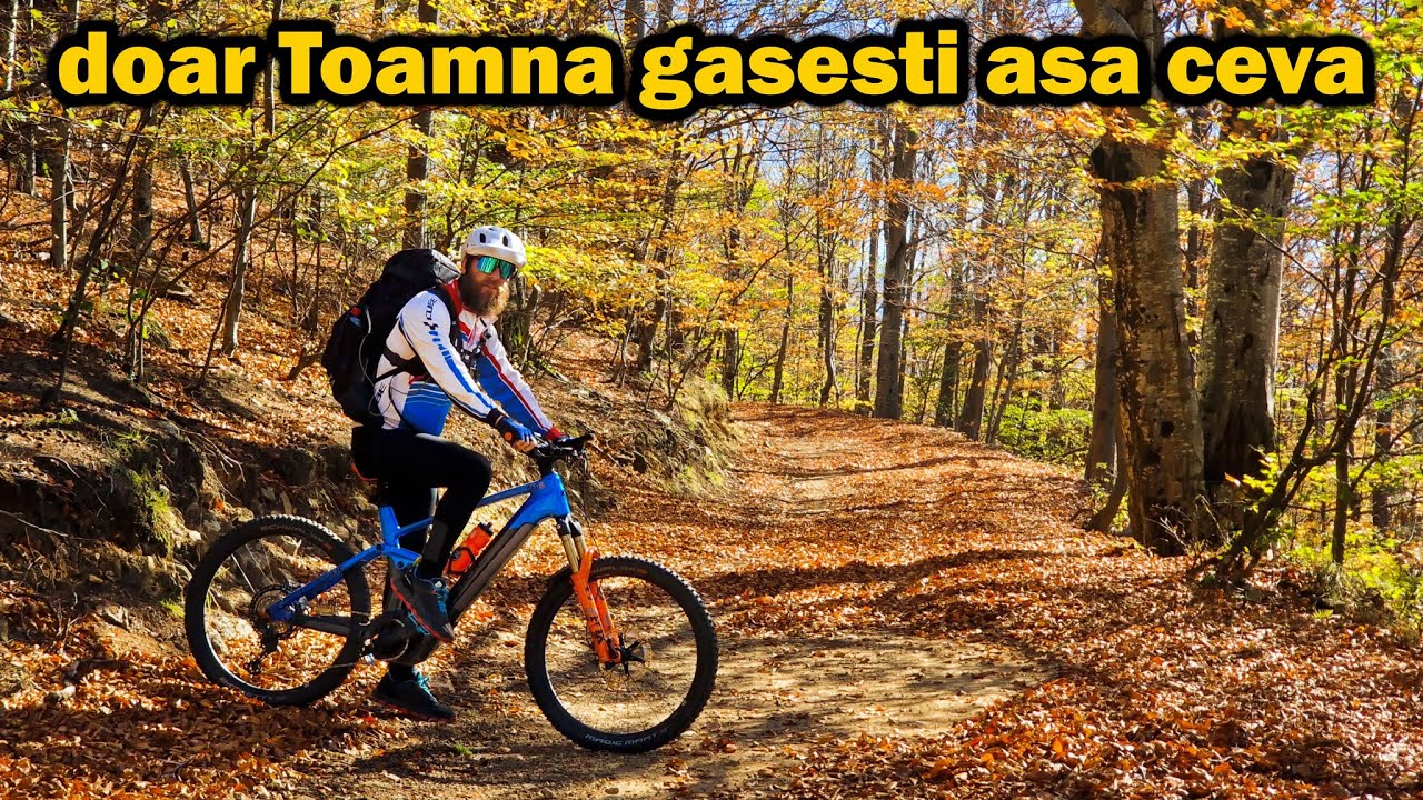 Găsește fericirea Toamnei urmând acest drum din Poiana Mărului