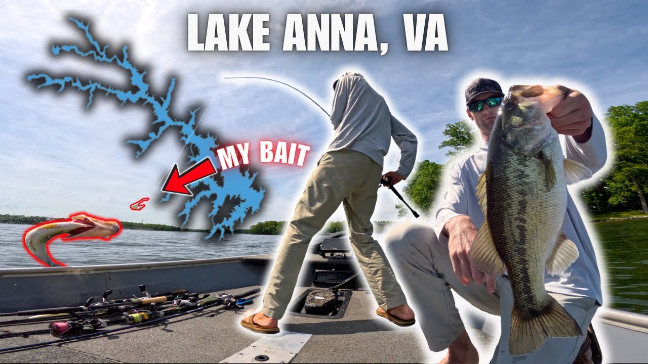 HUGE MISTAKE Costs me the WIN (Lake Anna Bass Fishing)
