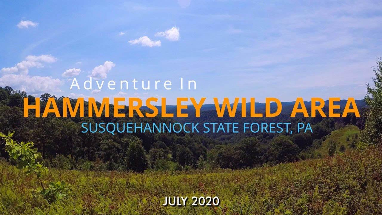 Hammersley Wild Area - Susquehannock State Forest - PA