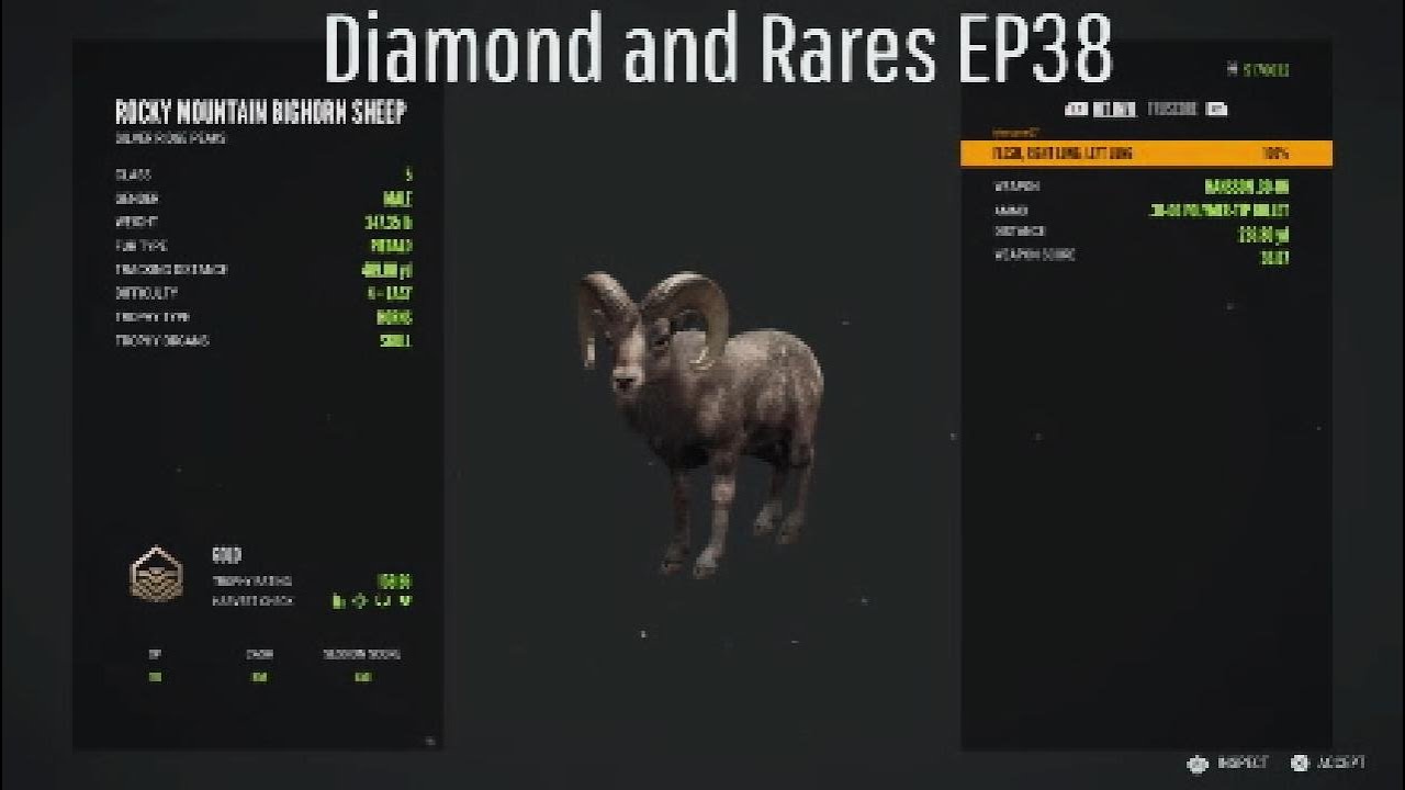 Diamond and Rares EP38 |The Hunter COTW|
